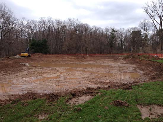 Future Stormwater Wetland