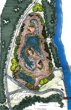 Wetland plan